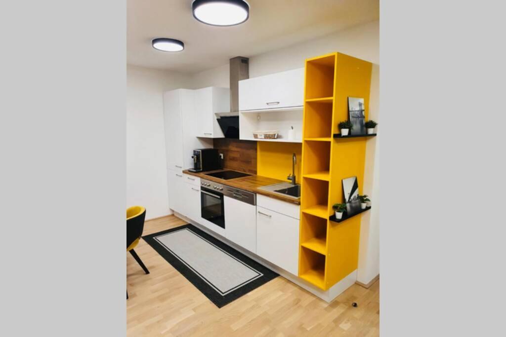 Leon Apartment Neu! Gemuetlichkeit An Erster Stelle Линц Экстерьер фото